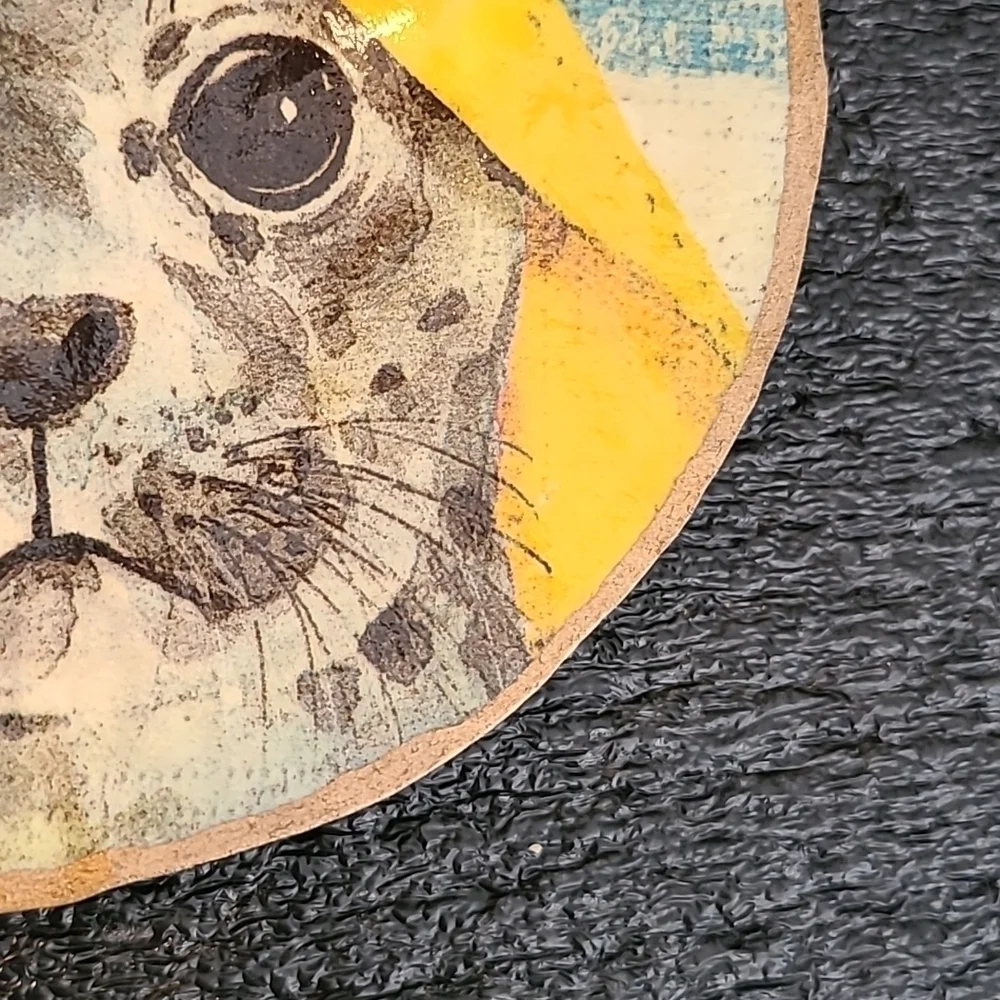 Baby Seal Trinket Shell (Handcrafted)